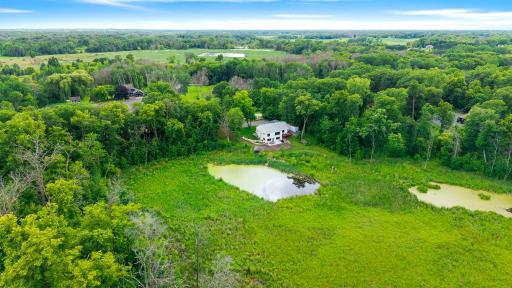 The private pond is sure to draw nature in.