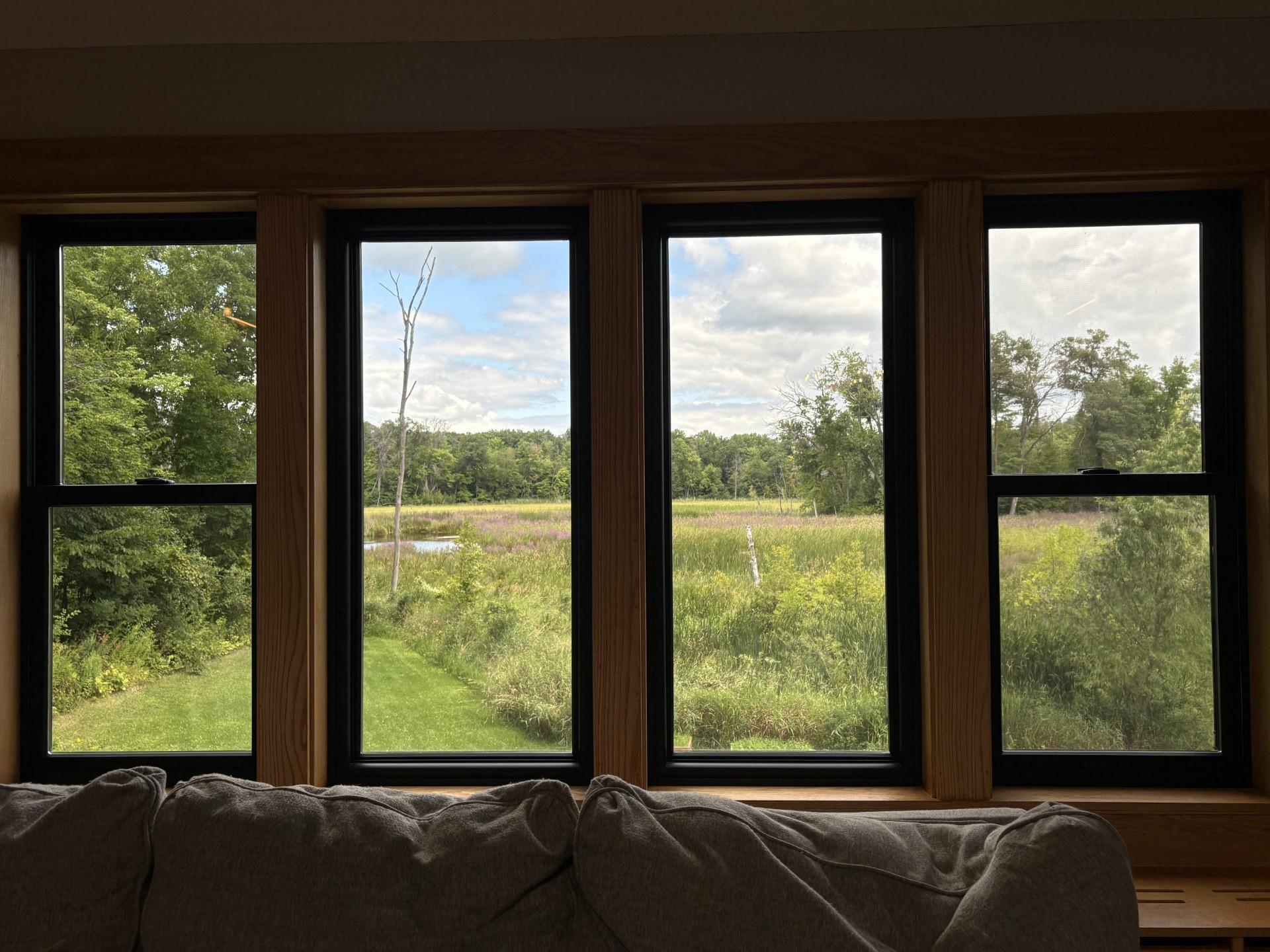 Your private nature preserve view!