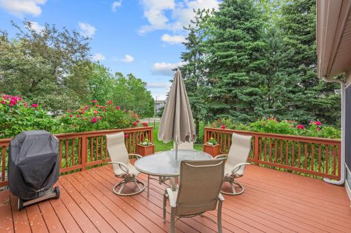 3901 Foxglove Court N, Minneapolis, MN 55443