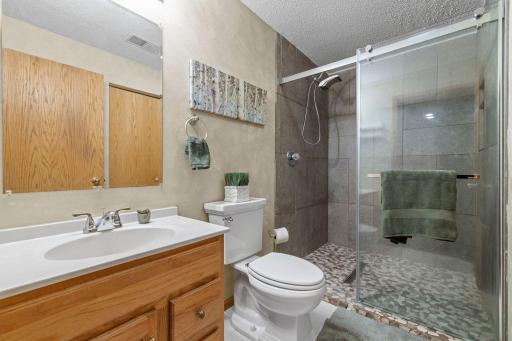 The lower level bath has been updated to include an extra large walk-in shower, and also includes a large storage closet