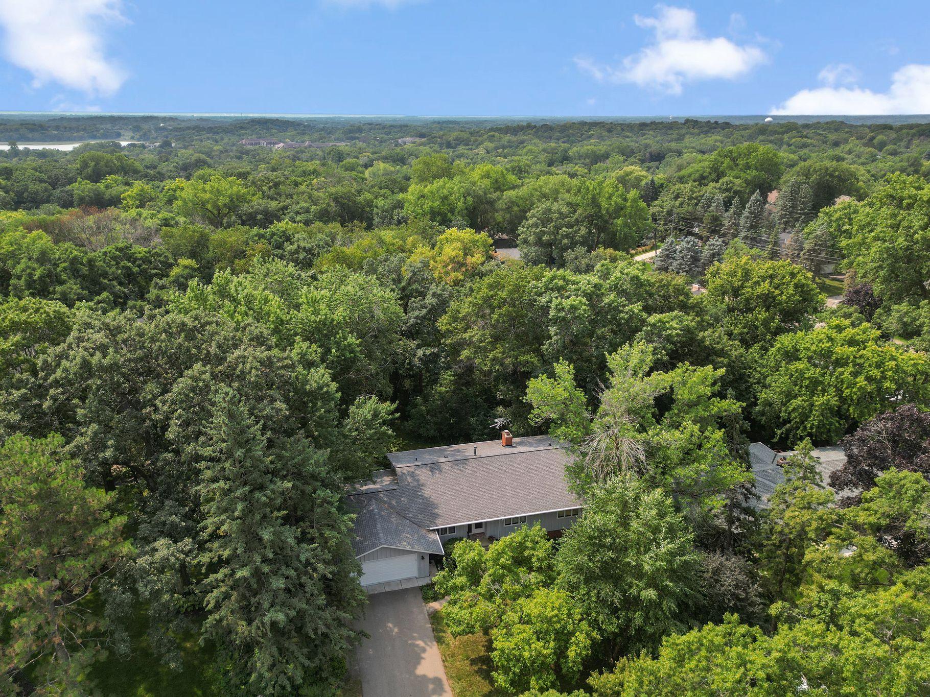Another view from above of the Forest Circle neighborhood