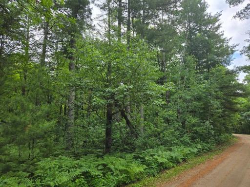 TBD Isle Harbor Drive, Federal Dam, MN 56641