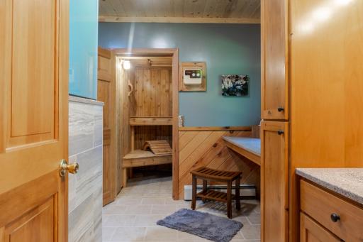 Main Floor Bathroom Sauna