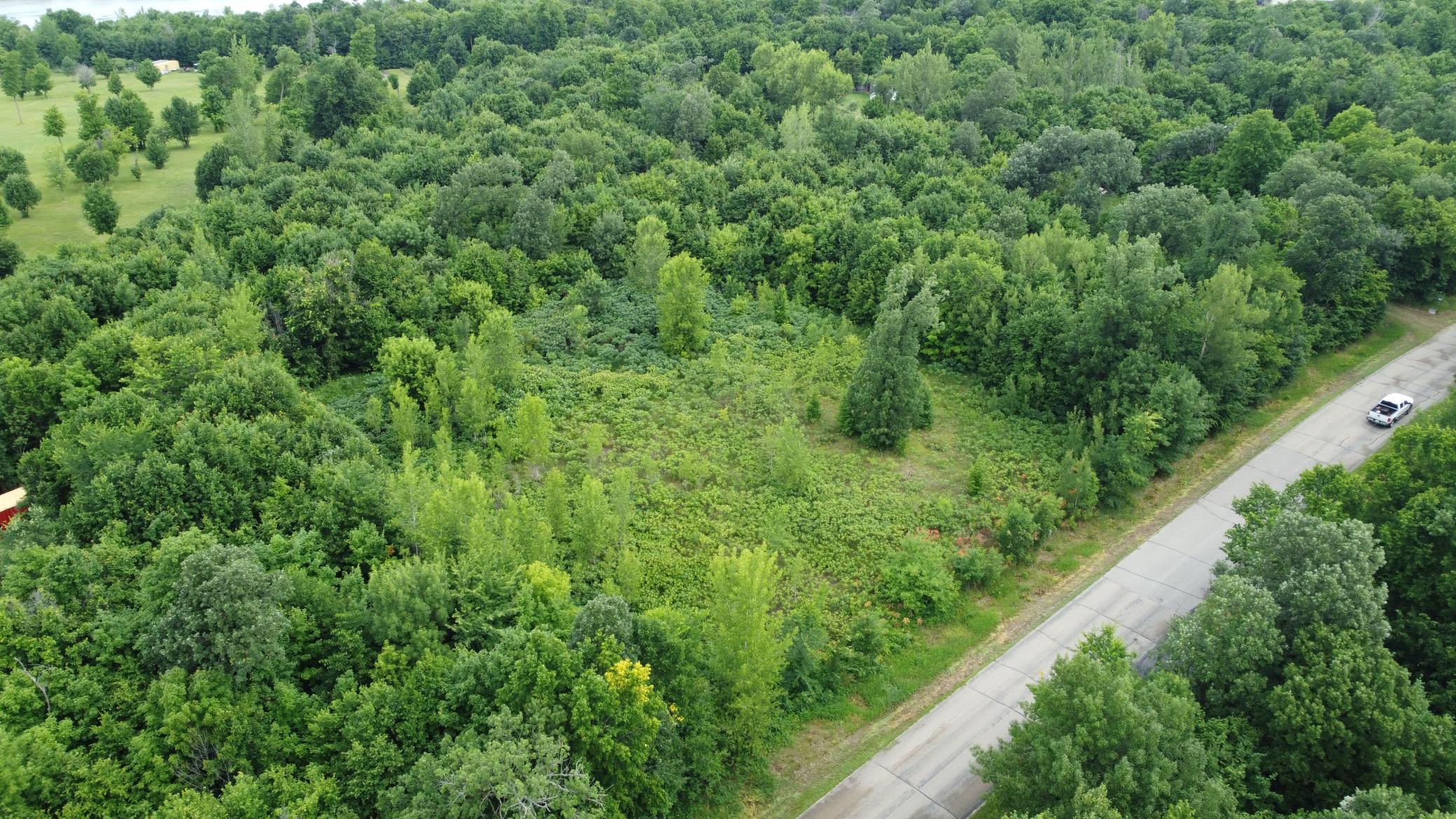 DJI_0590.JPG