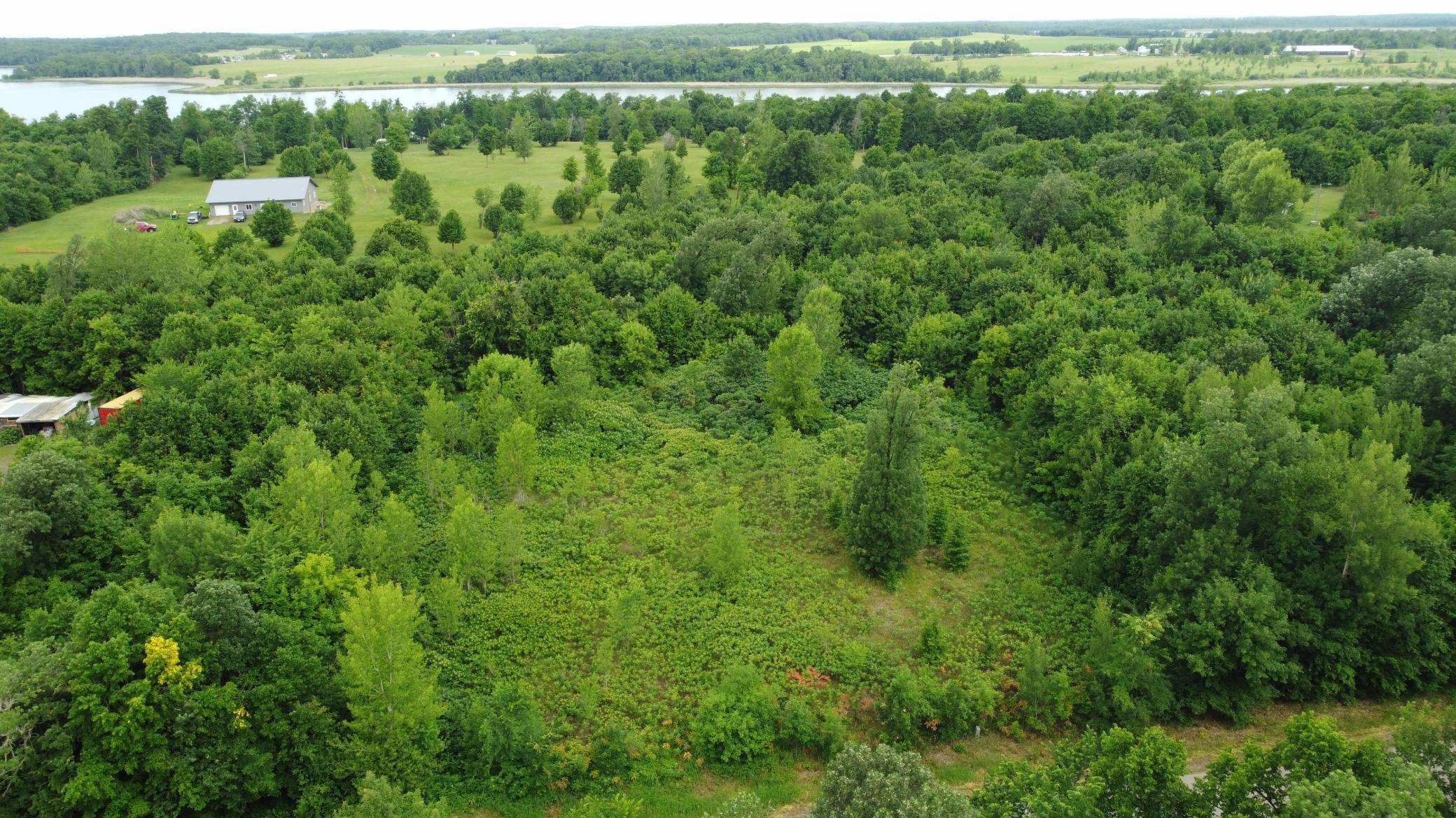 DJI_0589.JPG