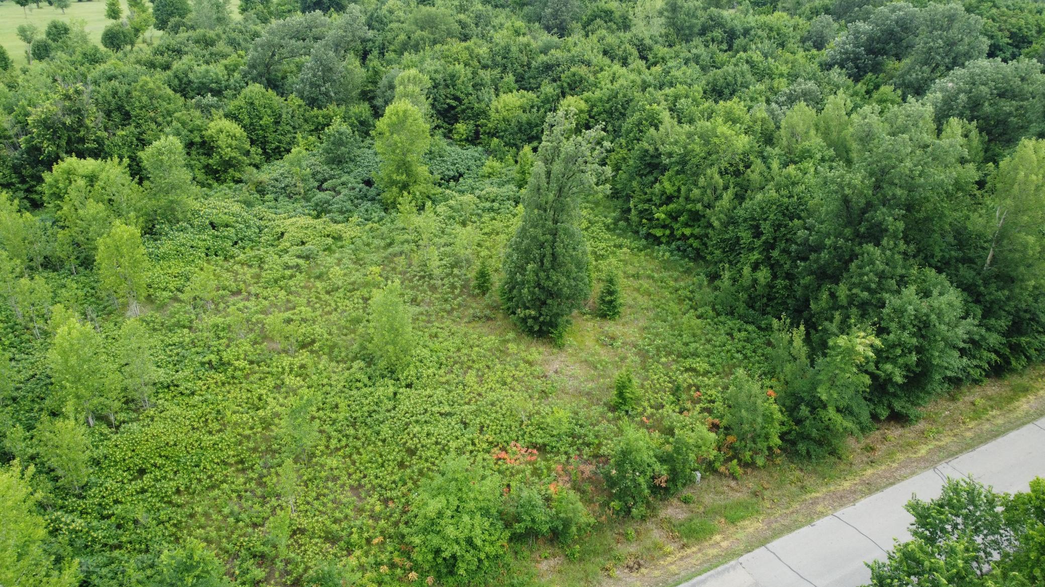 DJI_0588.JPG