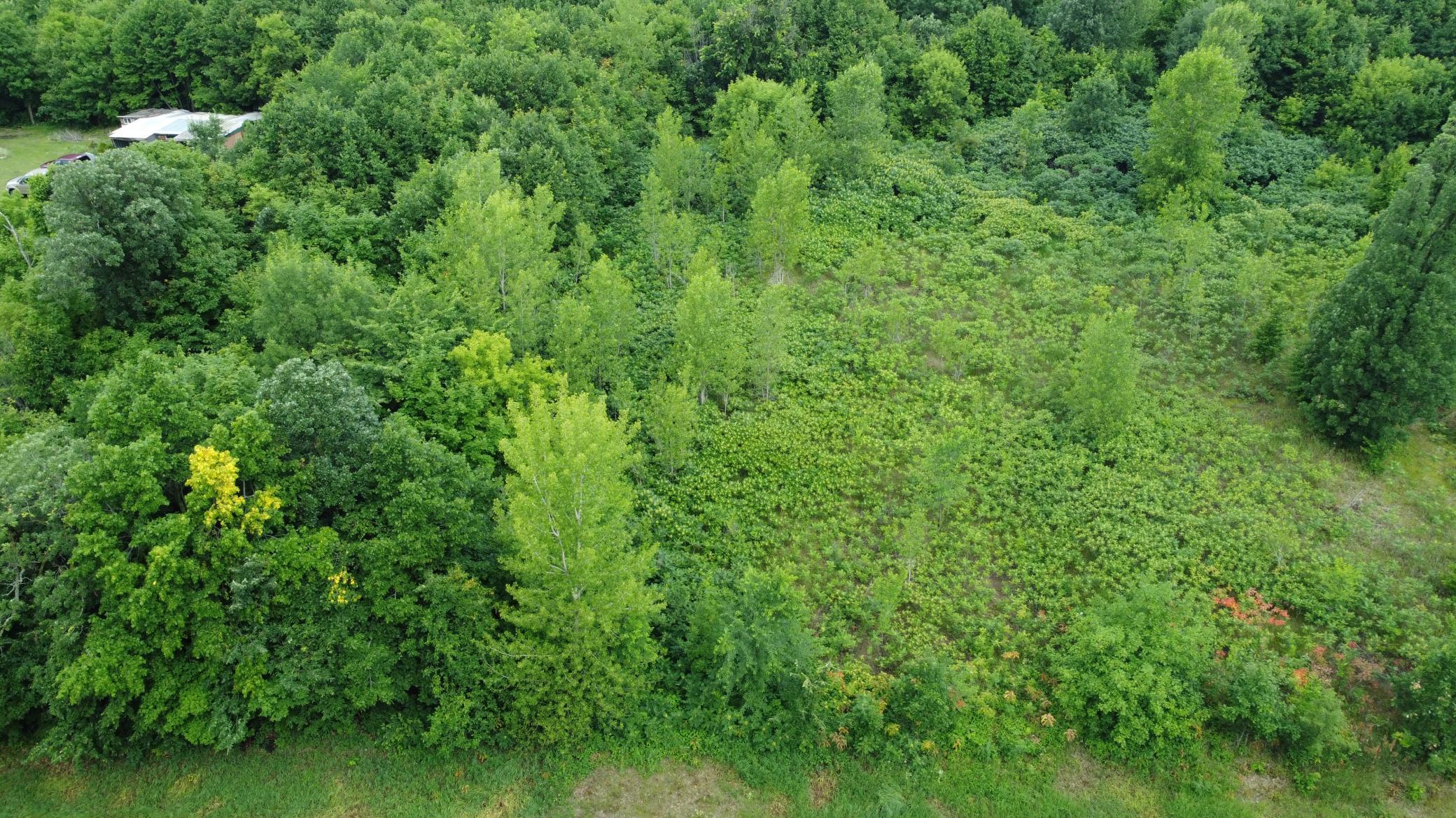 DJI_0587.JPG