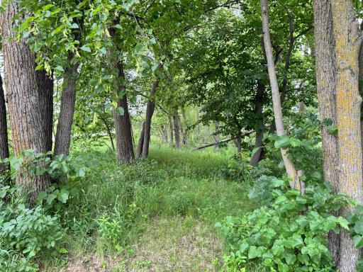 x Leaf River Road, Ottertail, MN 56571