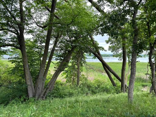 x Leaf River Road, Ottertail, MN 56571