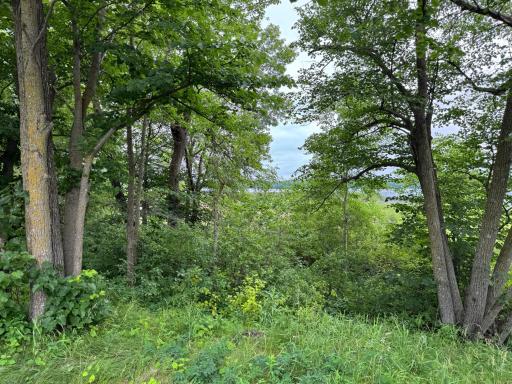x Leaf River Road, Ottertail, MN 56571