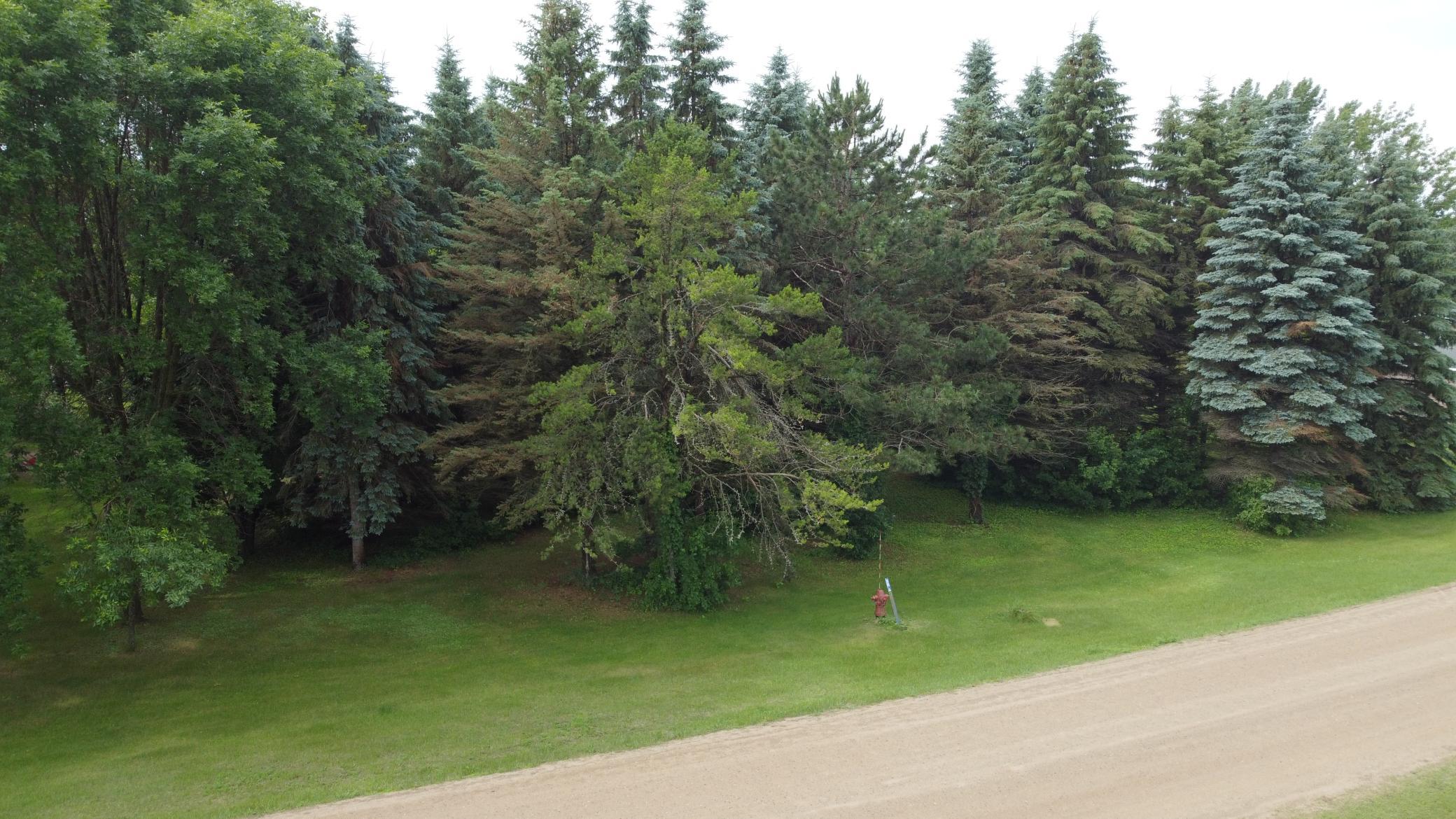 DJI_0602.JPG