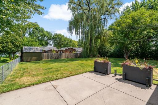 Completely fenced backyard your dog will love