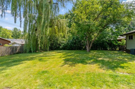 Spacious fenced backyard with amazing willow tree
