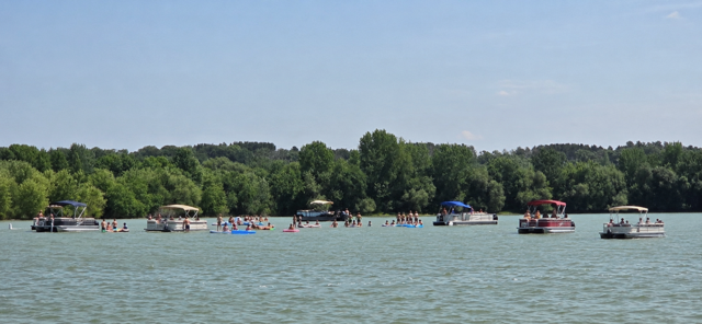 Summer Fun on the Sandbar.png