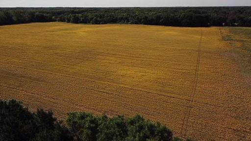 Lot 1 Block 1 87th Street SE, Becker, MN 55308