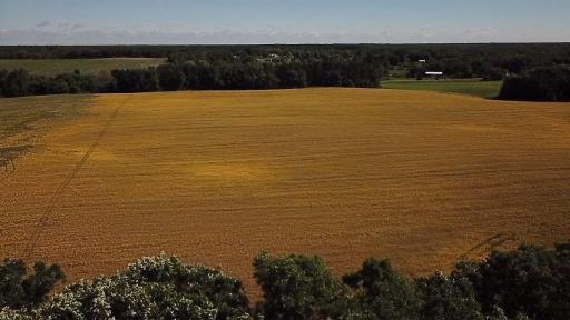 Lot 1 Block 1 87th Street SE, Becker, MN 55308