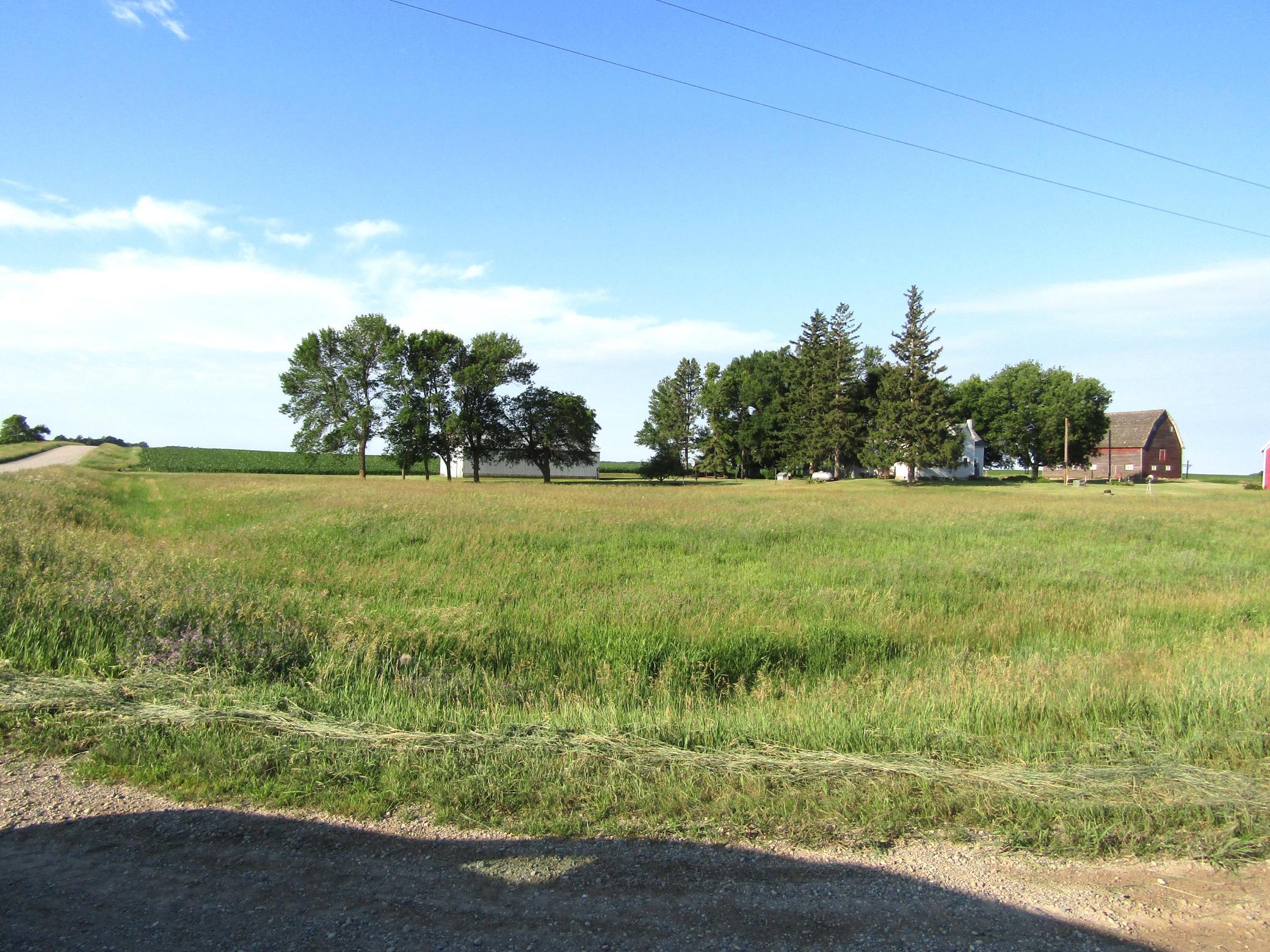 IMG_1314 - Copy.JPG