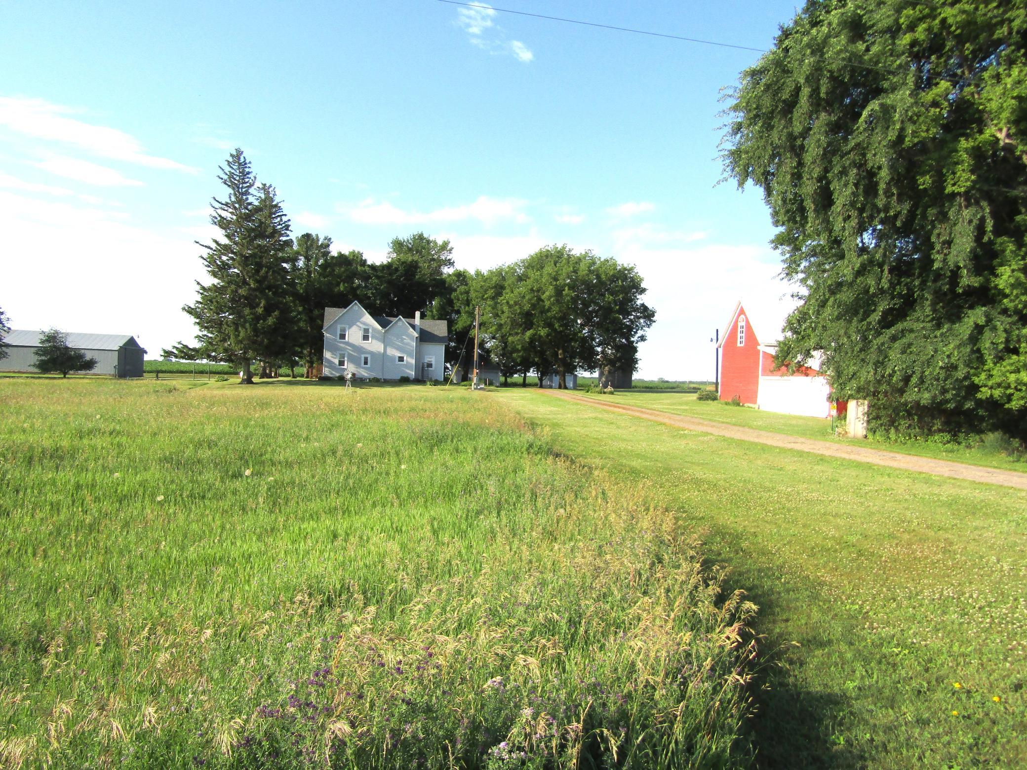 IMG_1308 - Copy.JPG