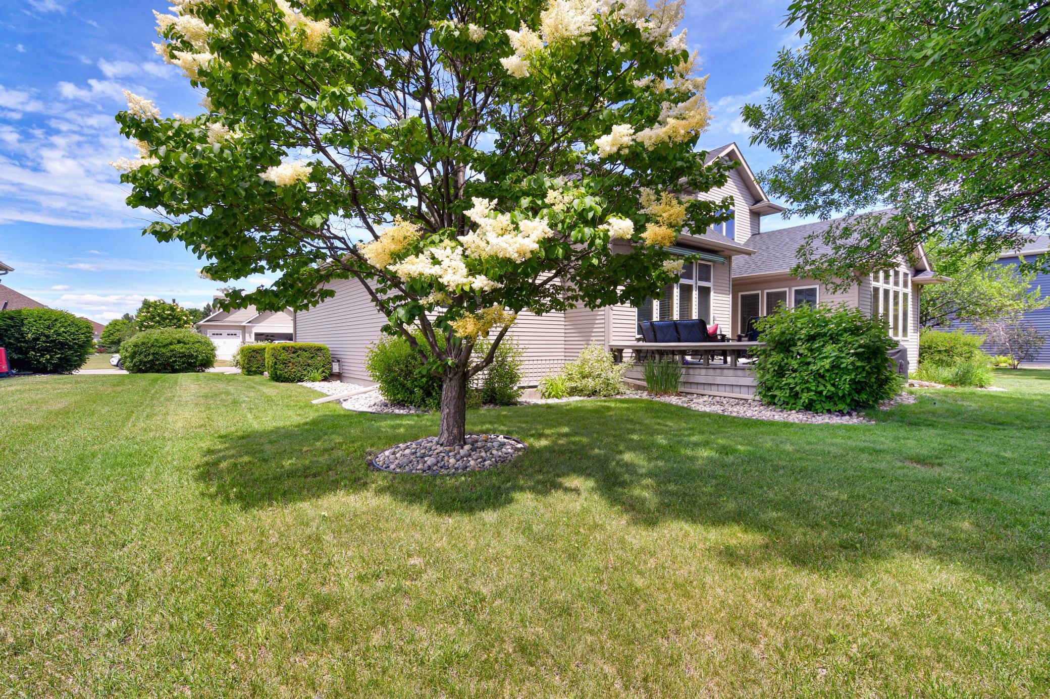 Side yard
