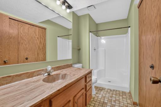 lower level bathroom