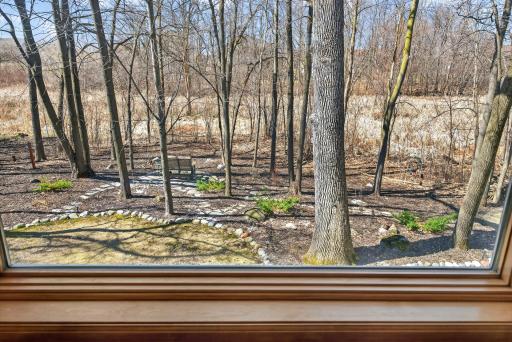 No backyard neighbors - just nature doing its thing