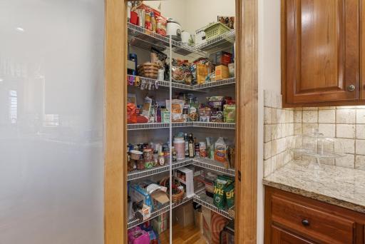 9951 Vagabond Court N, Maple Grove, MN 55311
