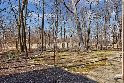9951 Vagabond Court N, Maple Grove, MN 55311
