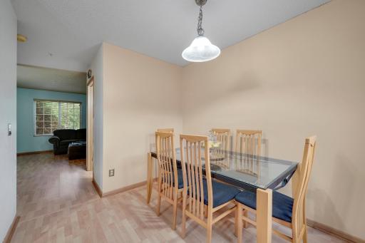 9084 Terra Verde Trail, Eden Prairie, MN 55347