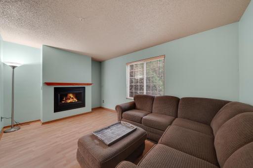 9084 Terra Verde Trail, Eden Prairie, MN 55347