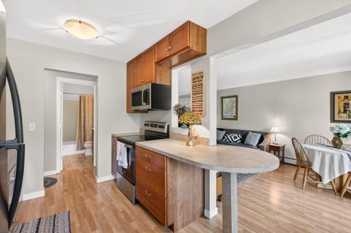 240 Wentworth Avenue W, 306, Saint Paul, MN 55118