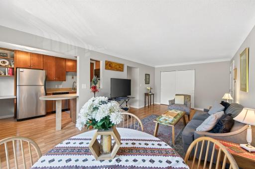 240 Wentworth Avenue W, 306, Saint Paul, MN 55118
