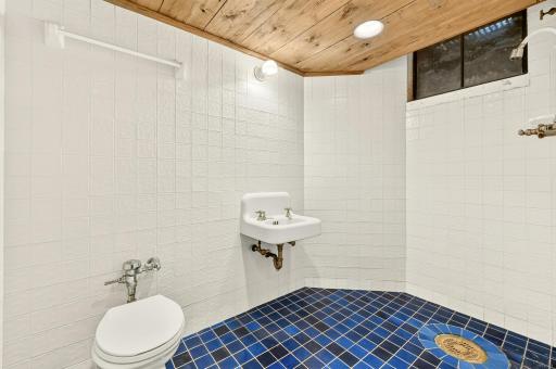 Lower level bathroom with custom tilework
