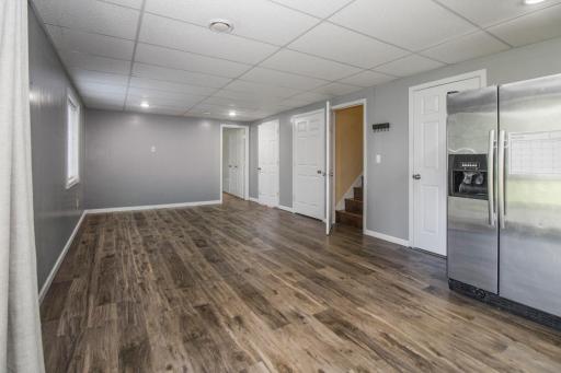 Lower Level Living Space