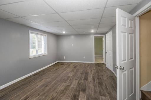 Lower Level Living Space