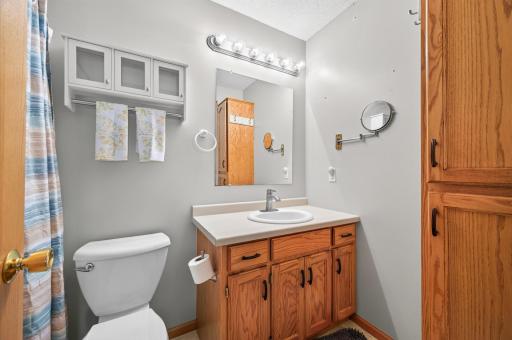 Lower Level Bath