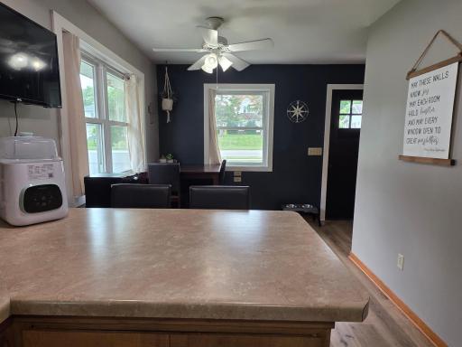 1207 W Park Avenue, Olivia, MN 56277