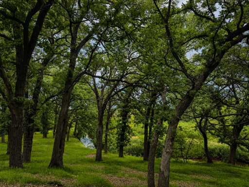 7798 Highway 218, Owatonna, MN 55060
