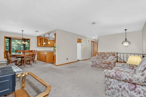 36830 Indian Point Road, Cohasset, MN 55721