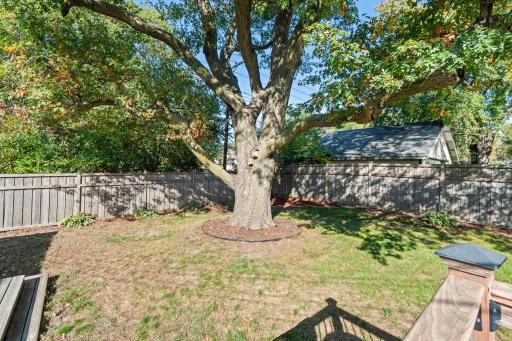 5843 June Avenue N, Minneapolis, MN 55429