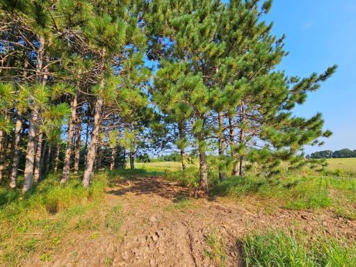 Lot 18 115th Avenue, New Richmond, WI 54017