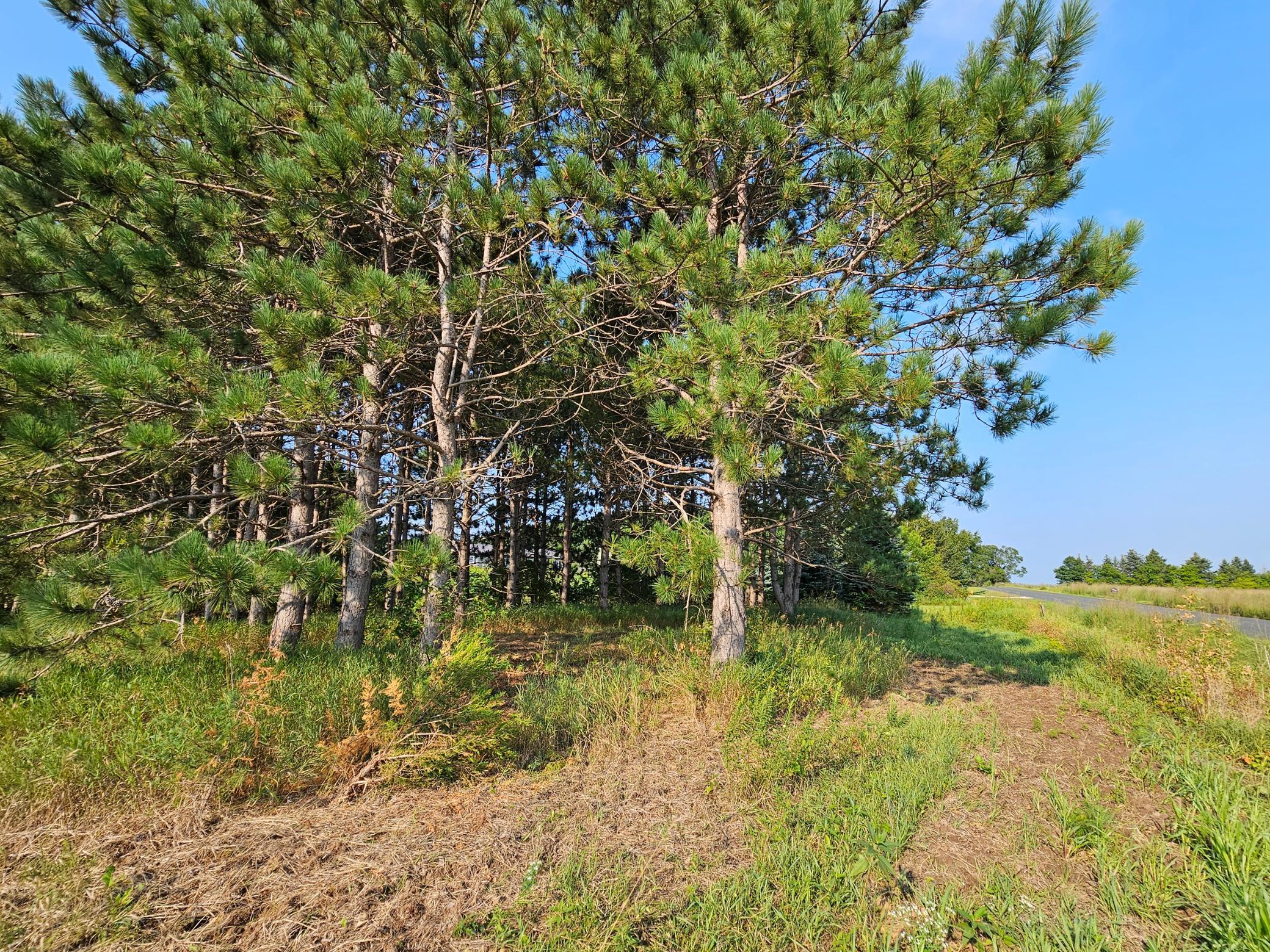 20260803_085605.jpg