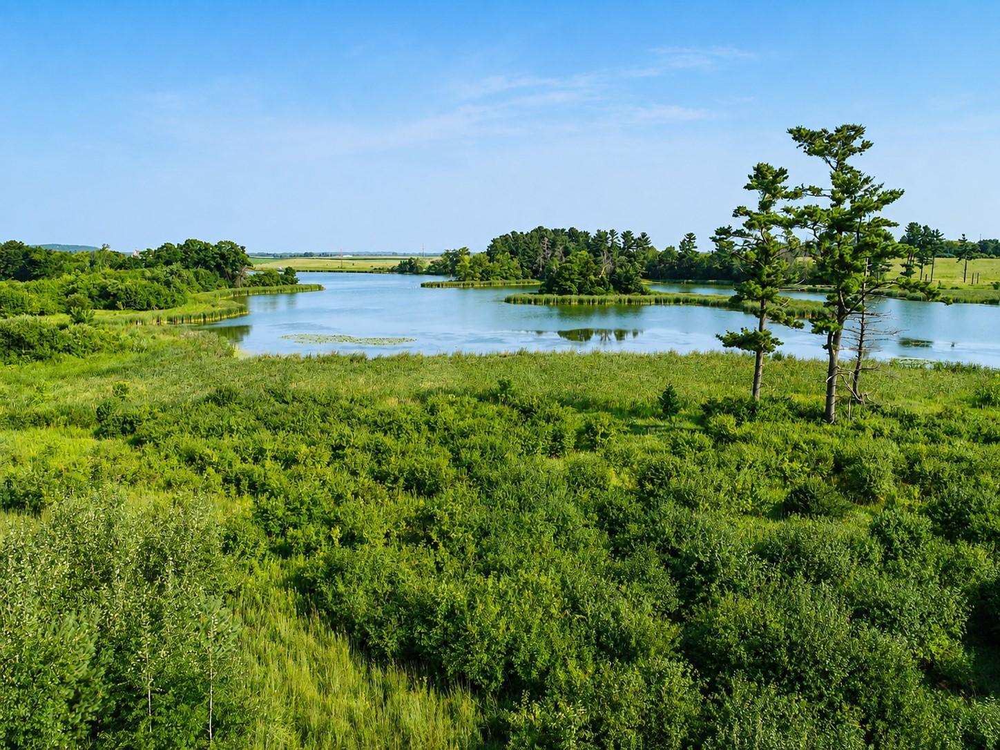 Views of adjacent public land