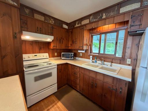 22668 Coney Island Drive, Clitherall, MN 56524