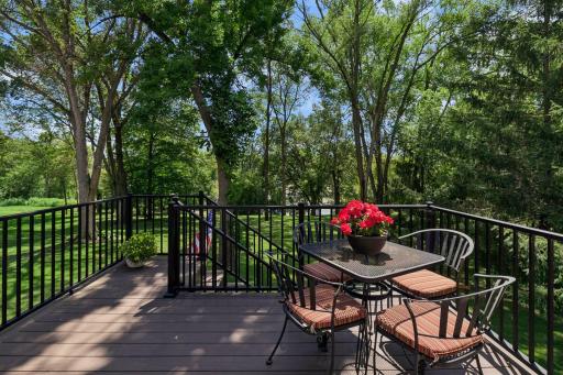 16847 Terrey Pine Drive, Eden Prairie, MN 55347