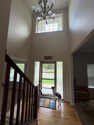 12816 Leyte Street NE, Blaine, MN 55449