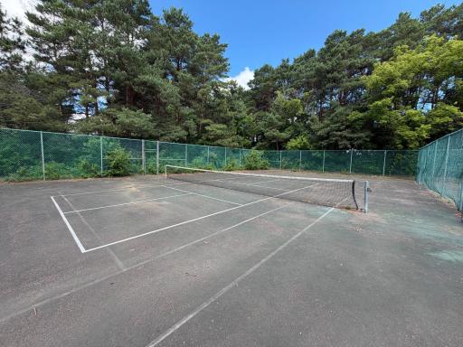 Clubhouse Pickleball Court