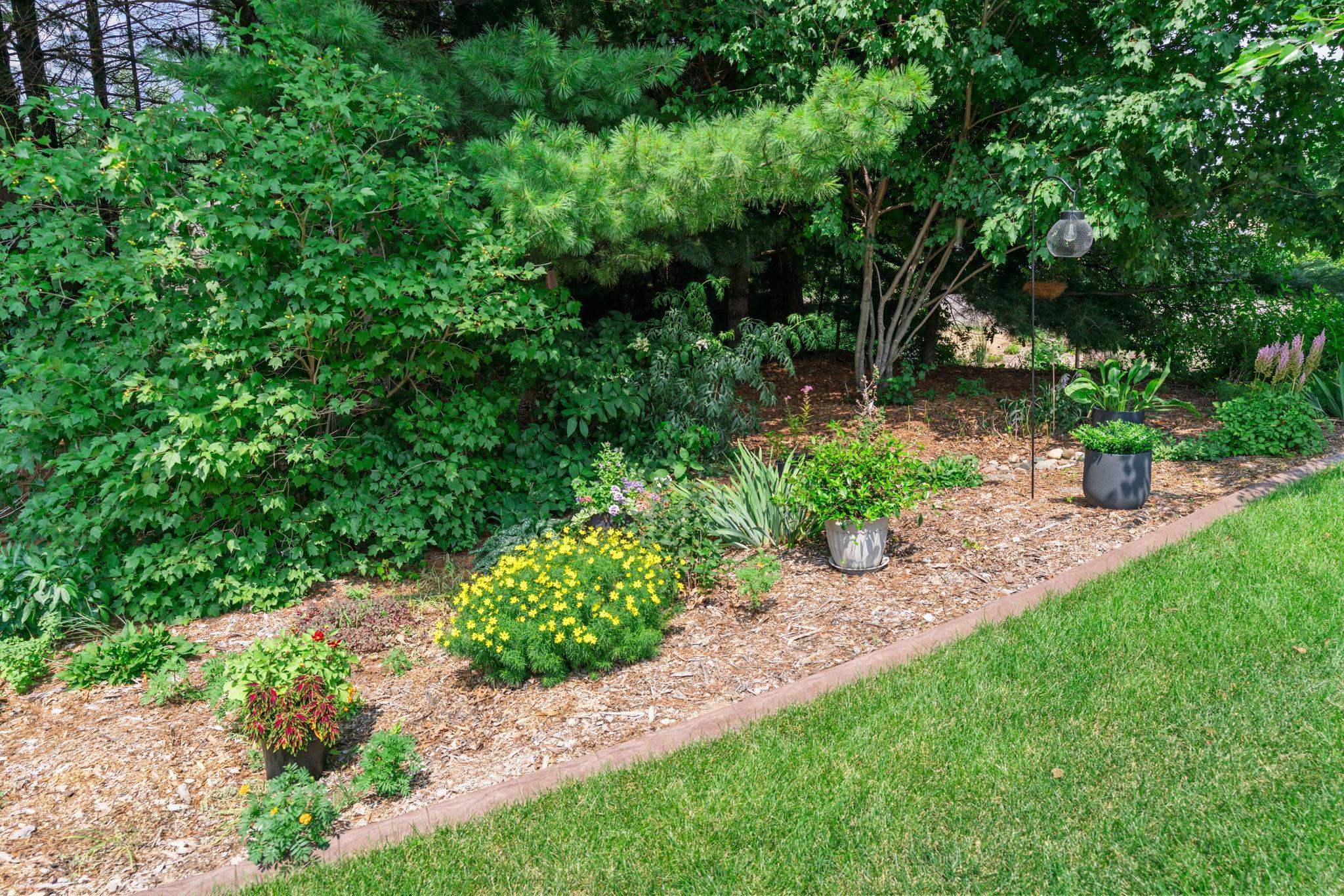 2.5 acre private lot with stunning landscaping