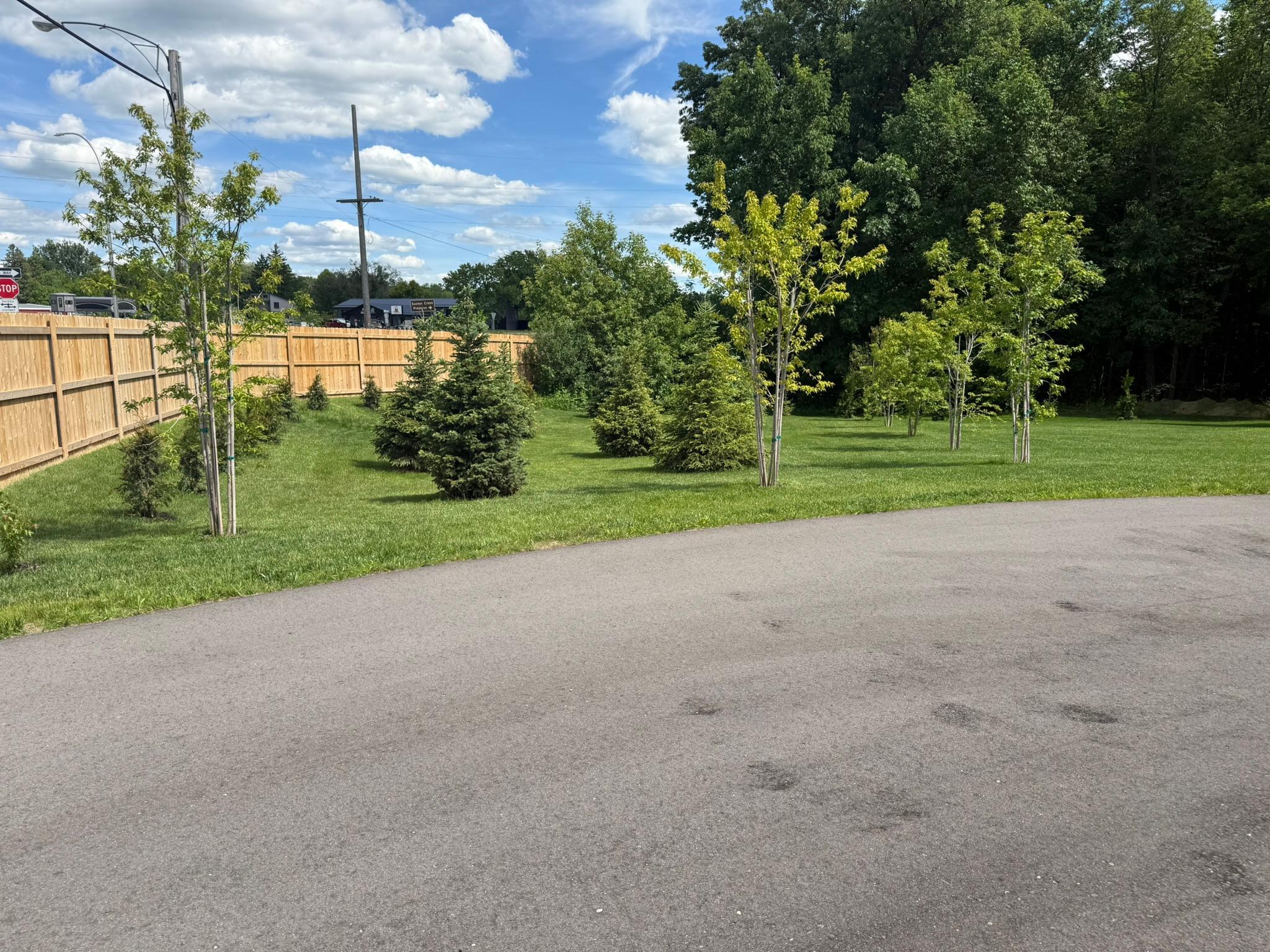 Tree Buffer