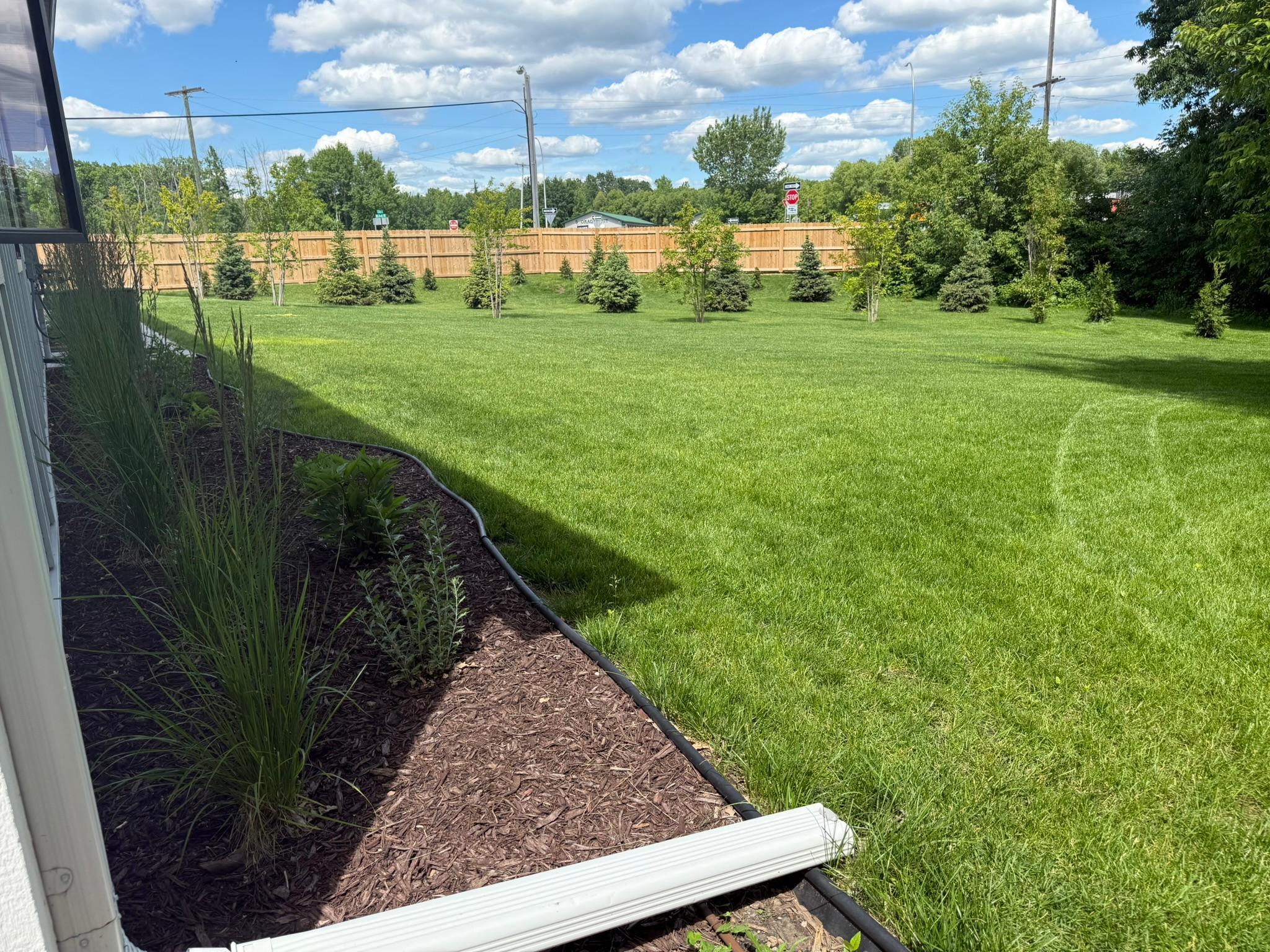 New fence and landscape