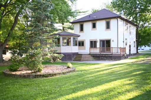 Back yard